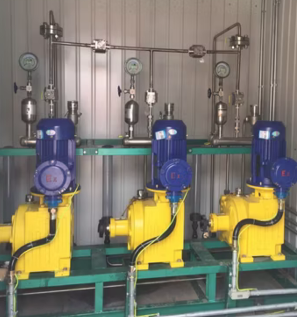 Double-Headed Pump Repair